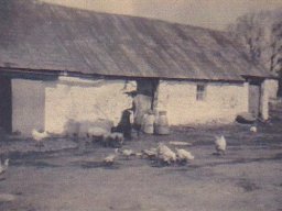 Fitzpatrick Farm 